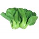  Pak Choi